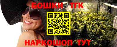 индика Аргун
