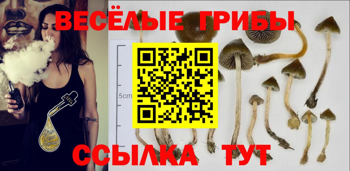 магазин продажи наркотиков  Вход с VPN  Беслан  Галлюциногенные грибы мицелий  Галлюциногенные грибы Psilocybe 